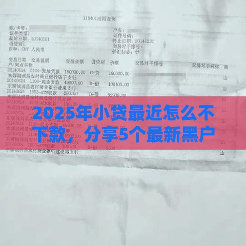 2025年小贷最近怎么不下款，分享5个最新黑户可以借钱的软件