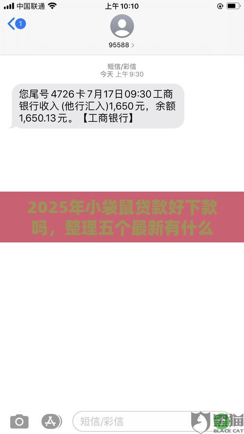 2025年小袋鼠贷款好下款吗，整理五个最新有什么可以贷款的平台