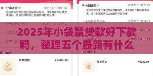 2025年小袋鼠贷款好下款吗，整理五个最新有什么可以贷款的平台