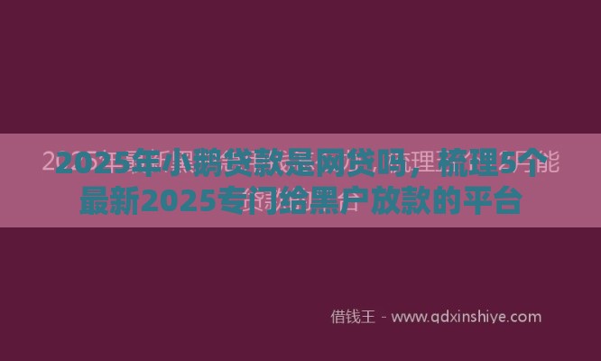 2025年小鹅贷款是网贷吗，梳理5个最新2025专门给黑户放款的平台