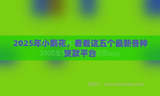 2025年小鹅花，看看这五个最新各种贷款平台