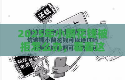 2025年小鹅花钱被拒怎么办，看看这五个最新现在平台可以借钱