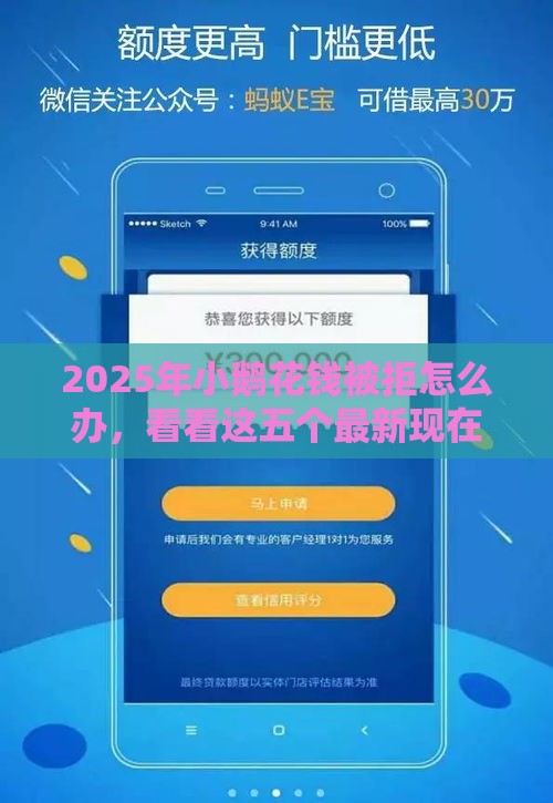 2025年小鹅花钱被拒怎么办，看看这五个最新现在平台可以借钱