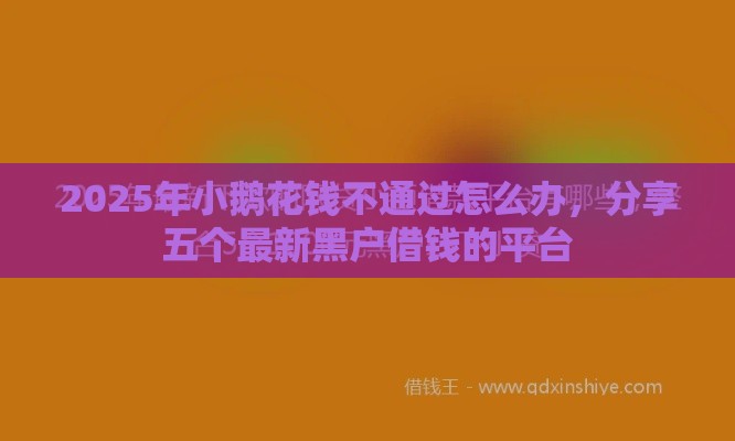 2025年小鹅花钱不通过怎么办，分享五个最新黑户借钱的平台
