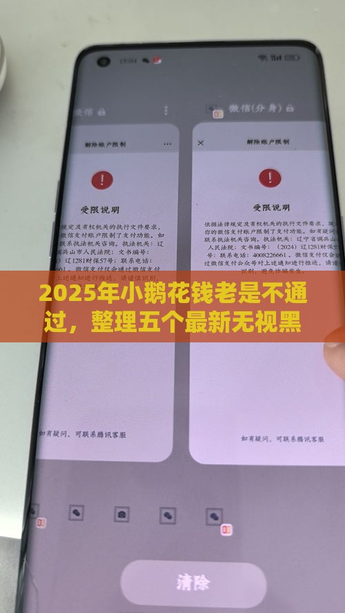 2025年小鹅花钱老是不通过，整理五个最新无视黑白下款8000左右的口子