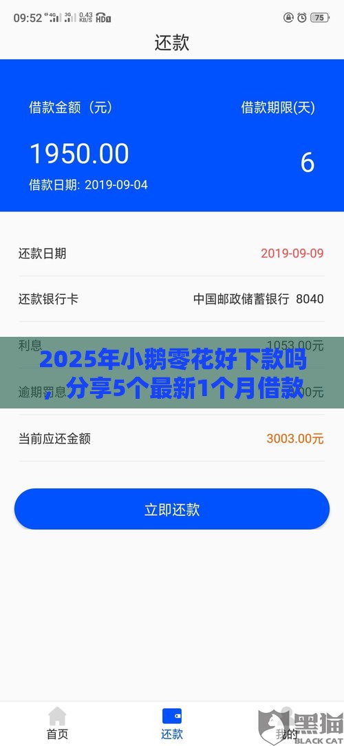 2025年小鹅零花好下款吗，分享5个最新1个月借款平台不看征信