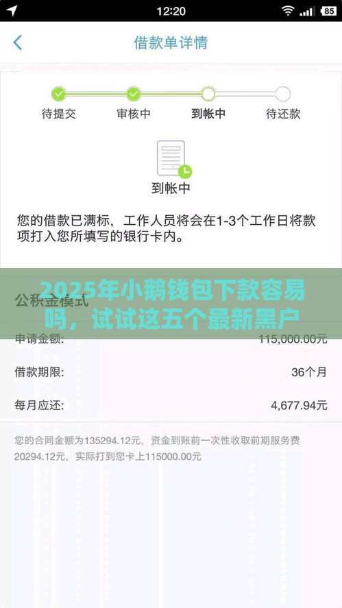 2025年小鹅钱包下款容易吗，试试这五个最新黑户网贷必下款的平台