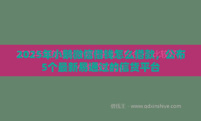 2025年小鹅微信借钱怎么借款，公布5个最新易通过的信货平台