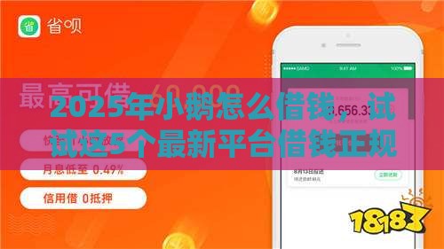 2025年小鹅怎么借钱，试试这5个最新平台借钱正规利息最低