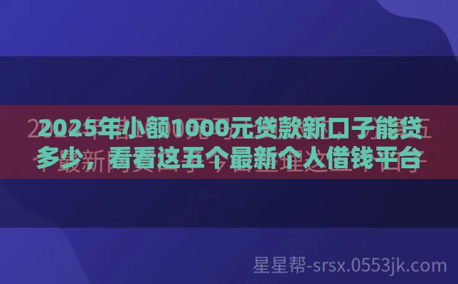 2025年小额1000元贷款新口子能贷多少，看看这五个最新个人借钱平台