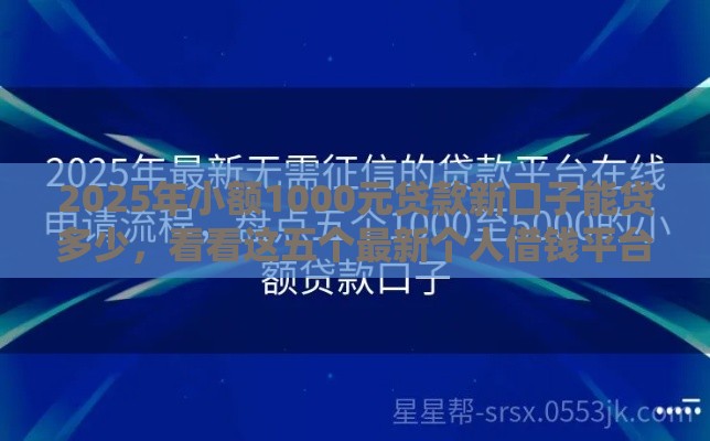 2025年小额1000元贷款新口子能贷多少，看看这五个最新个人借钱平台