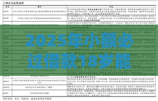 2025年小额必过借款18岁能贷款吗，公布5个最新征信花负债高有逾期还能下款的口子