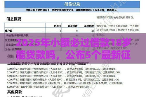 2025年小额必过借款18岁能贷款吗，公布5个最新征信花负债高有逾期还能下款的口子