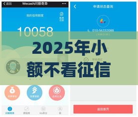 2025年小额不看征信app，整合5个最新黑户下款的口子还