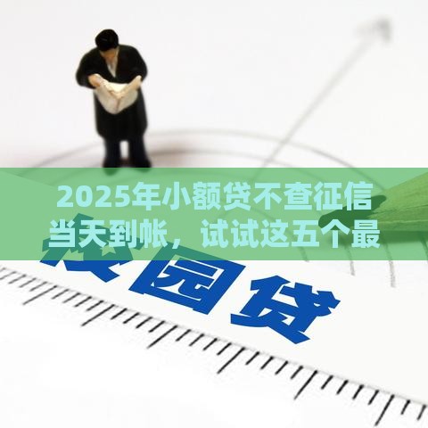 2025年小额贷不查征信当天到帐，试试这五个最新贷款客户平台