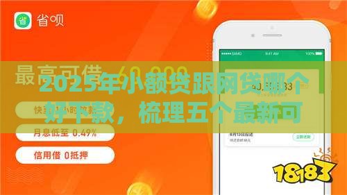 2025年小额贷跟网贷哪个好下款，梳理五个最新可以借钱的平台