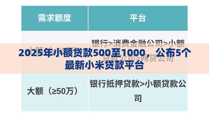 2025年小额贷款500至1000，公布5个最新小米贷款平台
