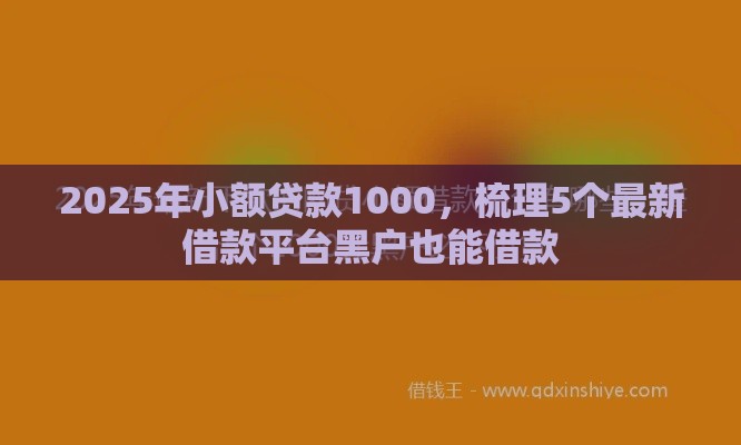 2025年小额贷款1000，梳理5个最新借款平台黑户也能借款