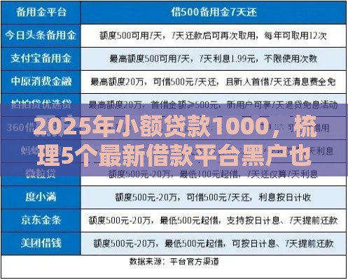 2025年小额贷款1000，梳理5个最新借款平台黑户也能借款