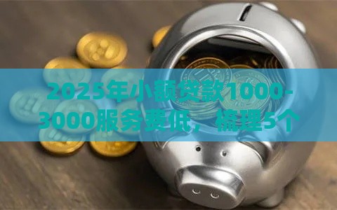 2025年小额贷款1000-3000服务费低，梳理5个最新2025晚上不审核直接放款口子