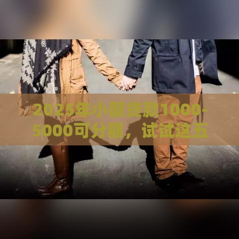 2025年小额贷款1000-5000可分期，试试这五个最新网贷保单贷最好的平台