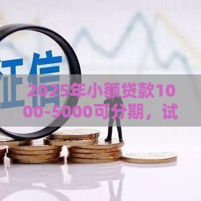 2025年小额贷款1000-5000可分期，试试这五个最新网贷保单贷最好的平台