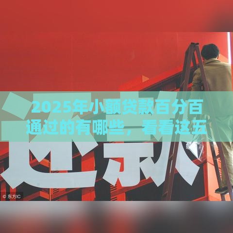 2025年小额贷款百分百通过的有哪些，看看这五个最新黑户口子必下款