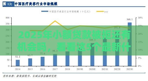 2025年小额贷款被拒还有机会吗，看看这5个最新什么贷款平台容易通过