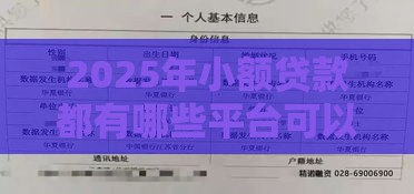 2025年小额贷款都有哪些平台可以用，整合5个最新征信逾期能贷款的正规平台