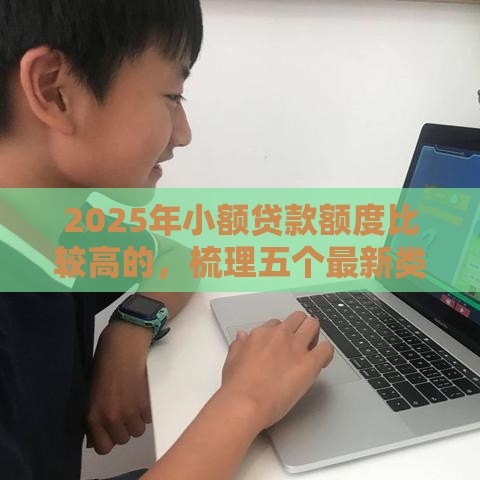 2025年小额贷款额度比较高的，梳理五个最新类似微博借钱的平台