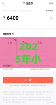 2025年小额贷款公司放款流程，看看这五个最新不是中介的贷款平台