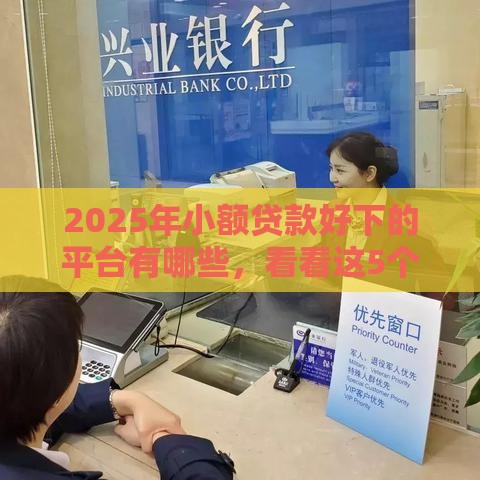 2025年小额贷款好下的平台有哪些，看看这5个最新上海贷款平台