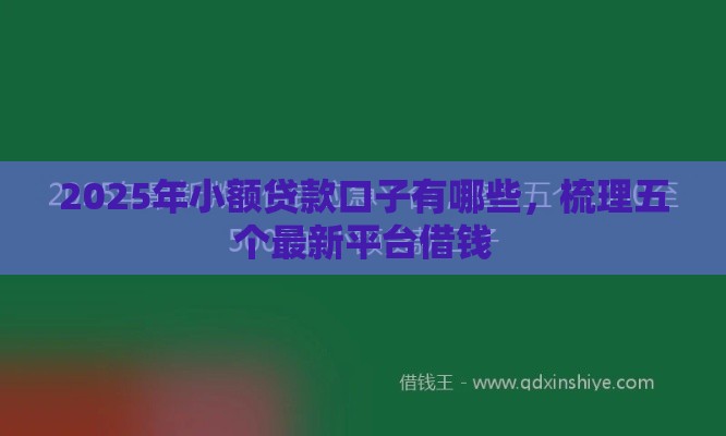 2025年小额贷款口子有哪些，梳理五个最新平台借钱