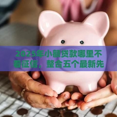 2025年小额贷款哪里不看征信，整合五个最新先息后本的正规贷款平台