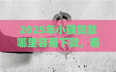 2025年小额贷款哪里容易下款，看看这5个最新网贷平台容易下款