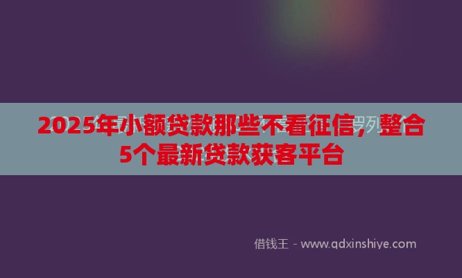 2025年小额贷款那些不看征信，整合5个最新贷款获客平台