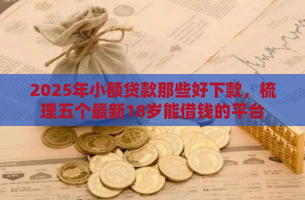 2025年小额贷款那些好下款，梳理五个最新18岁能借钱的平台