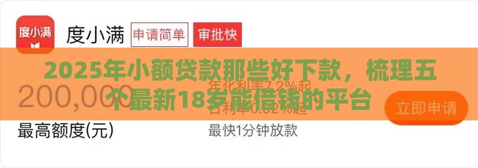 2025年小额贷款那些好下款，梳理五个最新18岁能借钱的平台