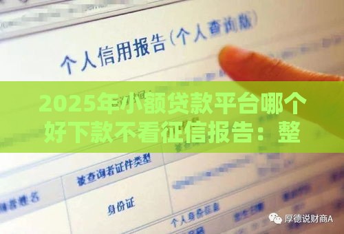 2025年小额贷款平台哪个好下款不看征信报告：整理5个2025热门微信网贷平台好