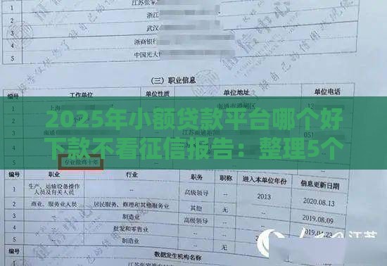 2025年小额贷款平台哪个好下款不看征信报告：整理5个2025热门微信网贷平台好