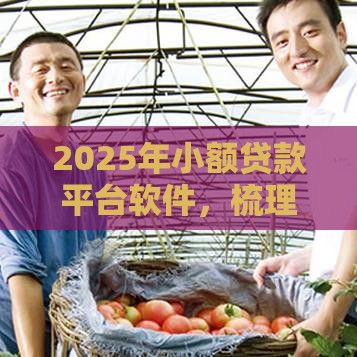 2025年小额贷款平台软件，梳理五个最新65岁贷款平台