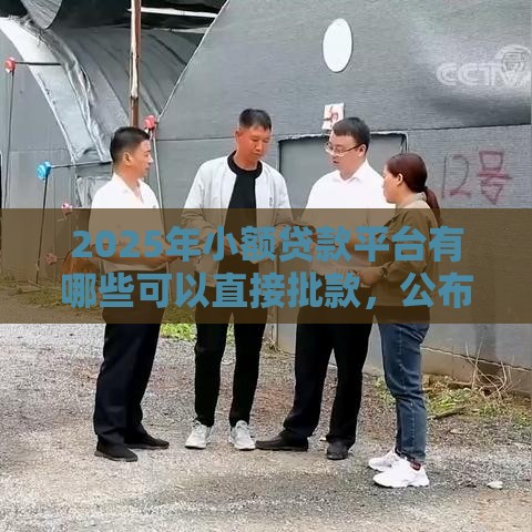 2025年小额贷款平台有哪些可以直接批款,公布五个最新长期贷款平台 2025年小额贷款平台有哪些可以直接批款,公布五个最新长期贷款平台