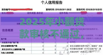 2025年小额贷款审核不通过，看看这五个最新借款不看征信的平台