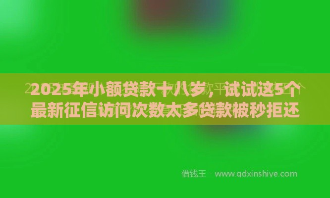 2025年小额贷款十八岁，试试这5个最新征信访问次数太多贷款被秒拒还能在平台借款