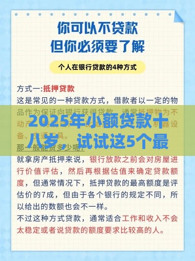 2025年小额贷款十八岁，试试这5个最新征信访问次数太多贷款被秒拒还能在平台借款