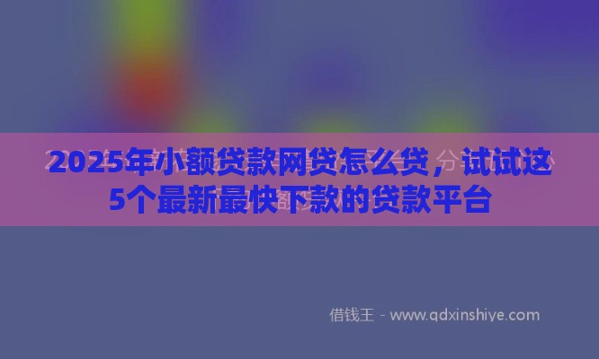 2025年小额贷款网贷怎么贷，试试这5个最新最快下款的贷款平台