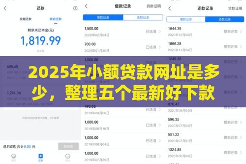 2025年小额贷款网址是多少，整理五个最新好下款不看征信的网贷平台