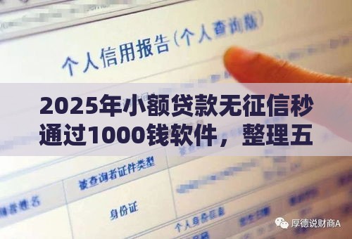 2025年小额贷款无征信秒通过1000钱软件，整理五个最新十大靠谱网贷平台