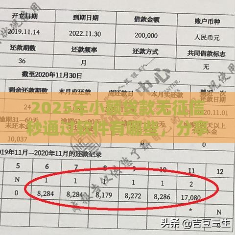 2025年小额贷款无征信秒通过软件有哪些，分享五个最新黑户信用评分不足能下款的软件