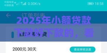 2025年小额贷款下款好下款的，看看这5个最新被抽贷了还能借钱的软件